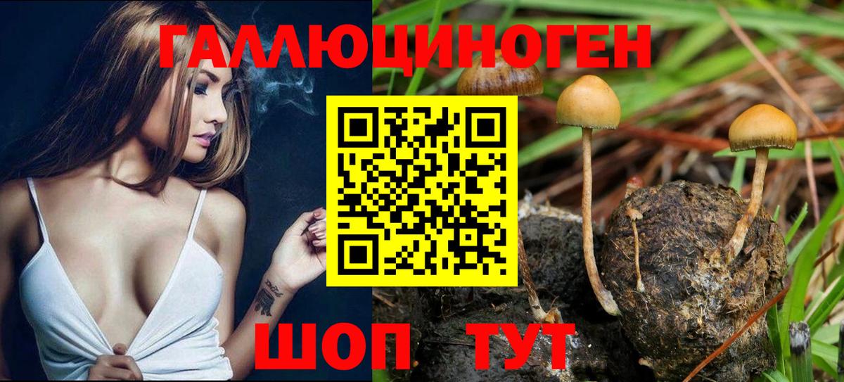 Псилоцибиновые грибы MAGIC MUSHROOMS Учалы
