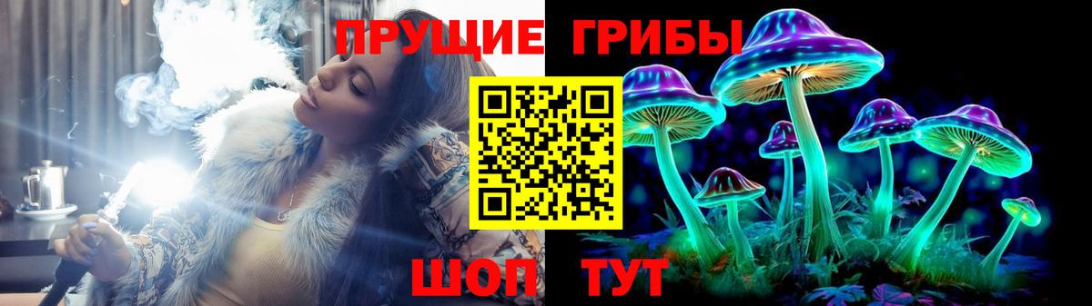 Галлюциногенные грибы Psilocybe  купить  цена  Учалы  Вход с VPN 